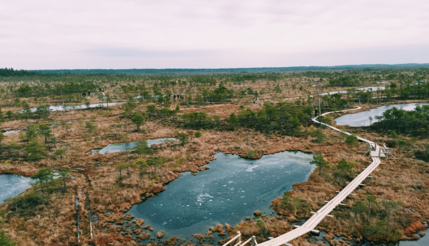 Sākas ceturtā dabas skaitīšanas sezona