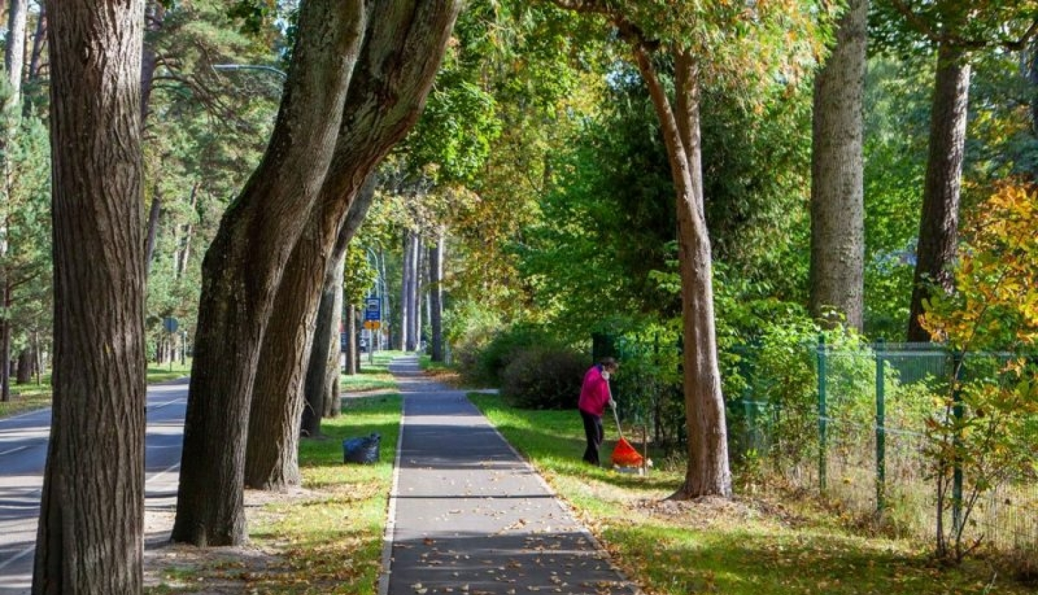 Savāktās rudens lapas var nodot bez maksas