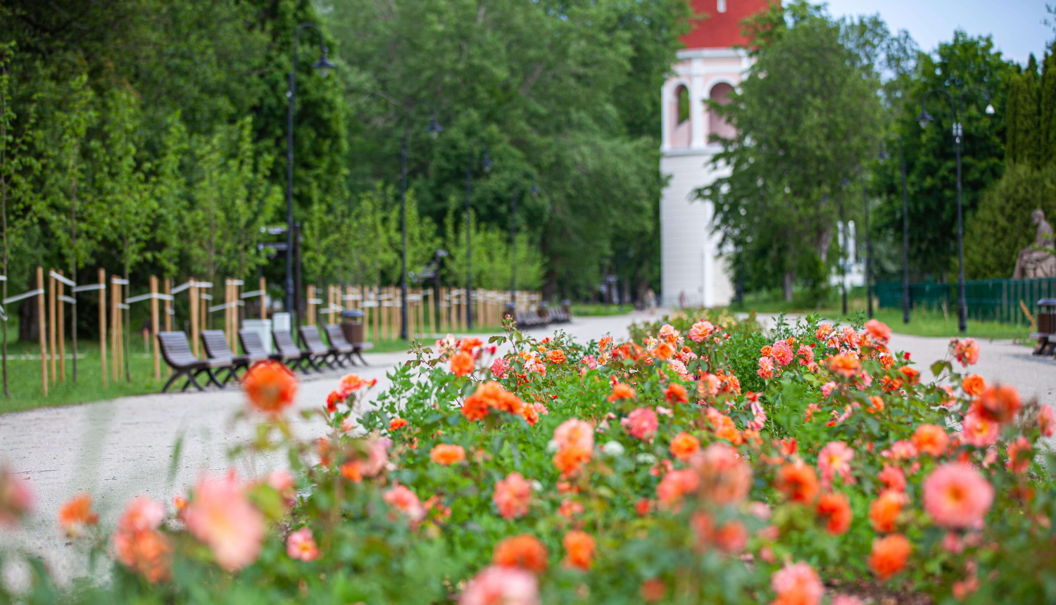 Rozes Ķemeru parkā