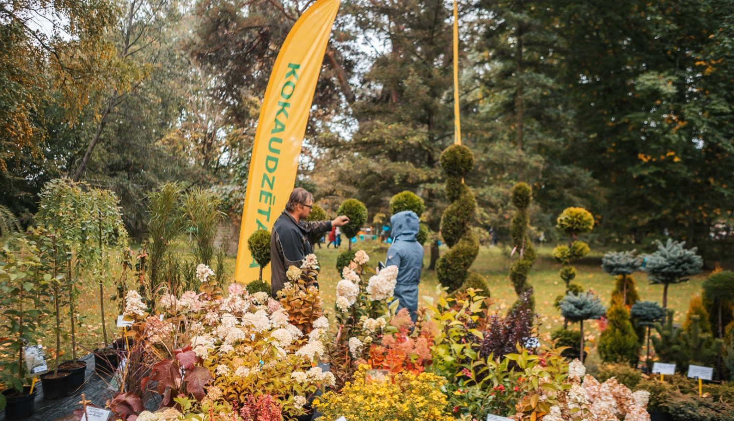 Rudens ražas svētki