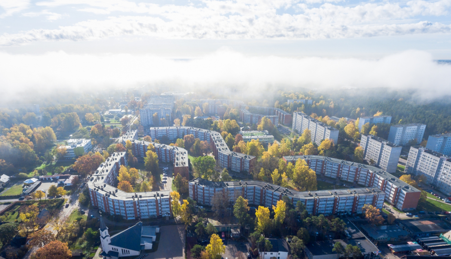 Kauguri no putna lidojuma