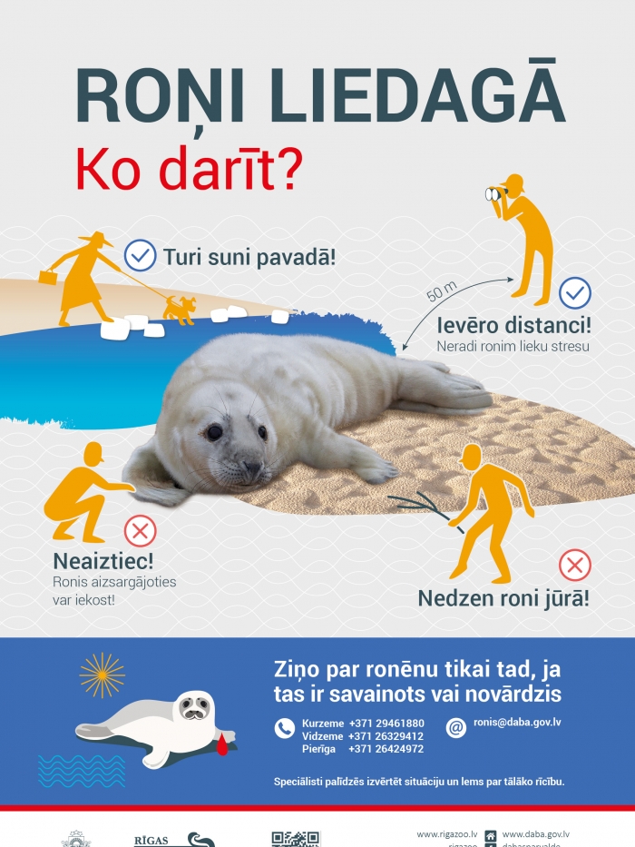 Infografika