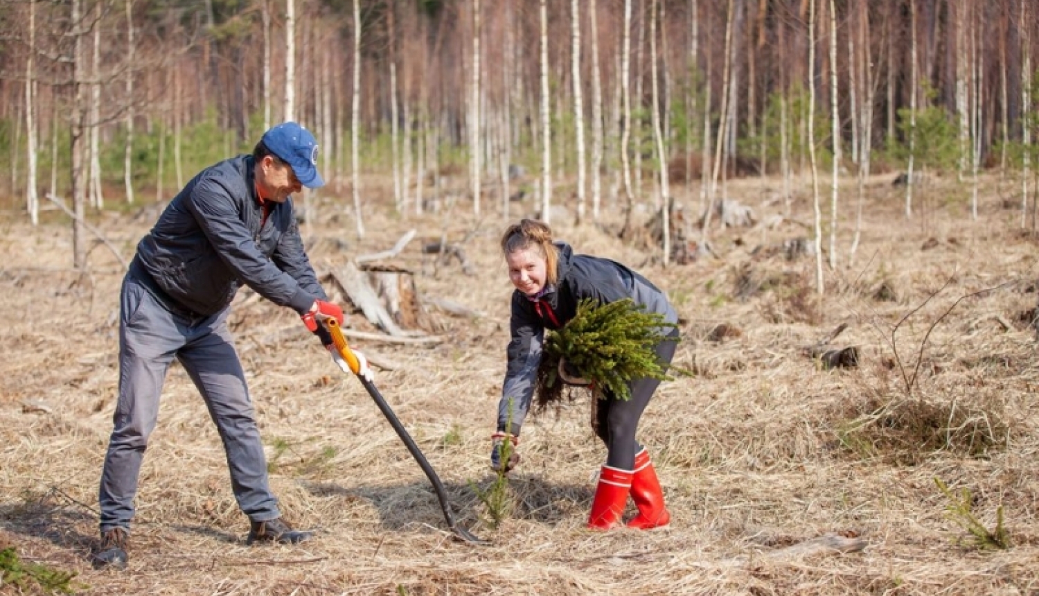 Jūrmalā iestāda 400 eglīšu