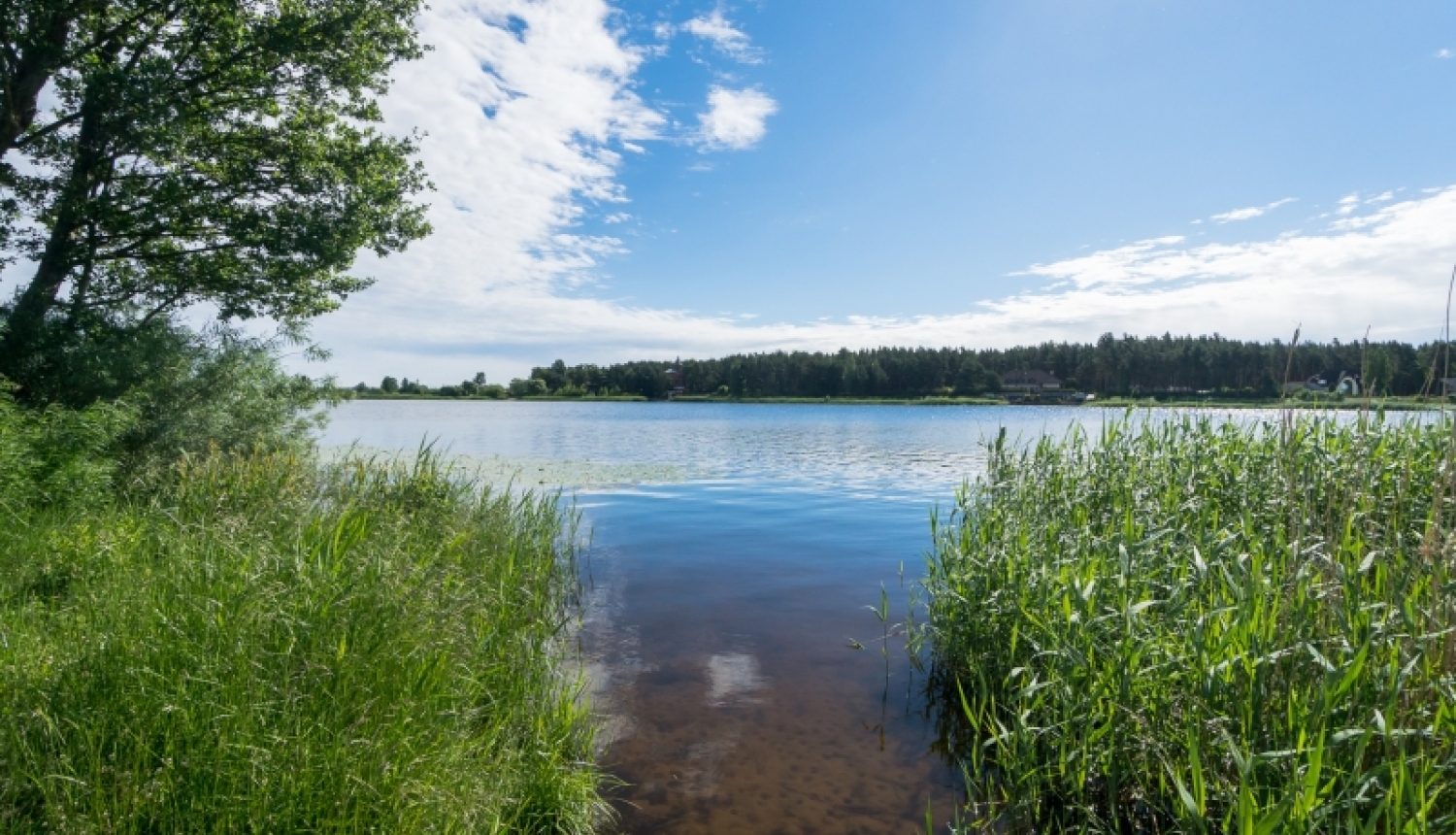 Visās peldvietās var peldēties, izņemot Lielupē pie Slokas