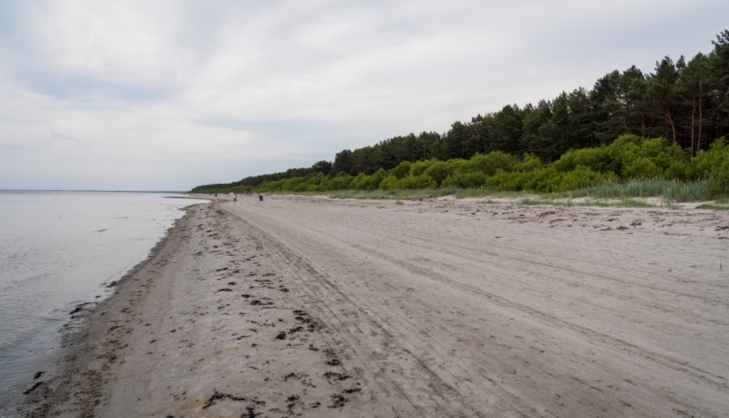 Kāpēc pludmalē reizēm jūtama nepatīkama smaka?