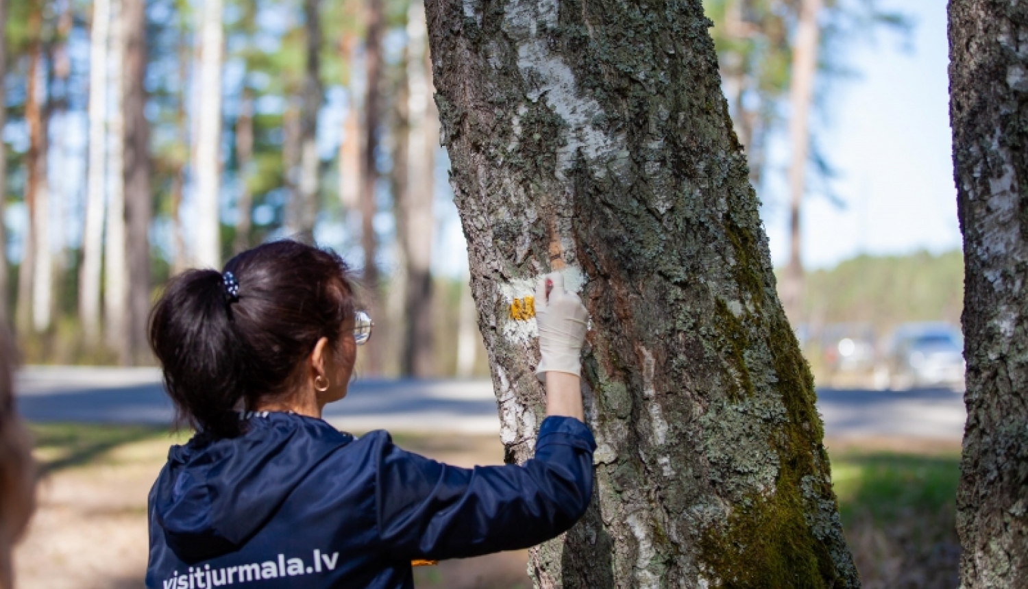 Jūrmalā top pārgājienu maršruts “Mežtaka”