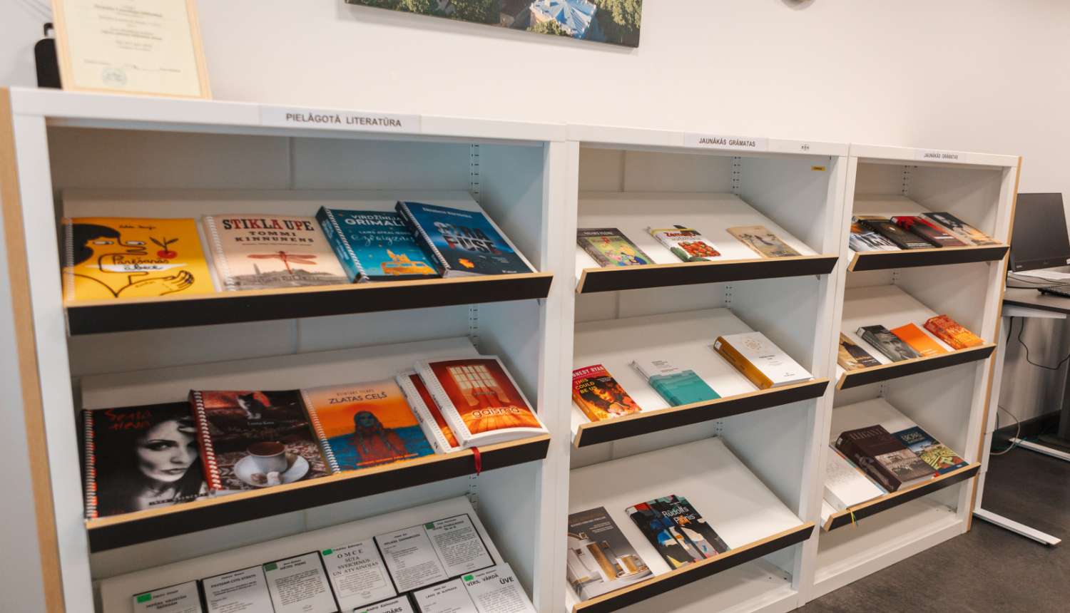 Šajā attēlā redzamas grāmatu plauktu rindas bibliotēkā