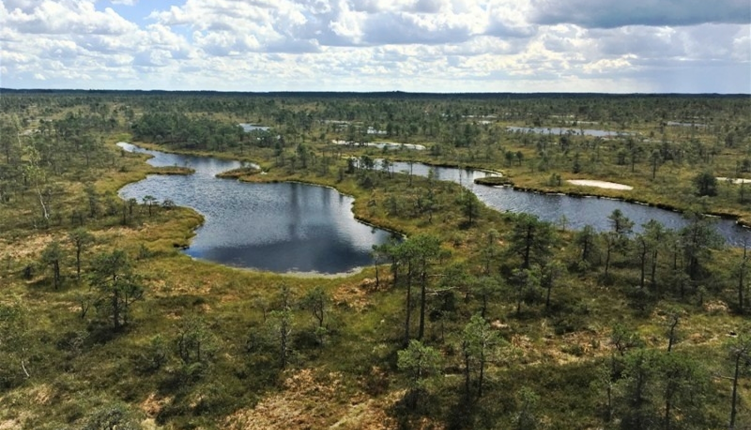 Uzsāk Ķemeru Nacionālā parka dabas aizsardzības plāna izstrādi