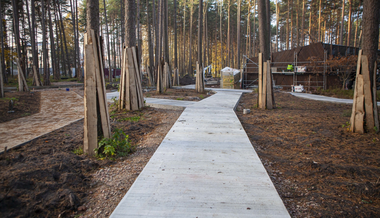Kauguru parka celiņš