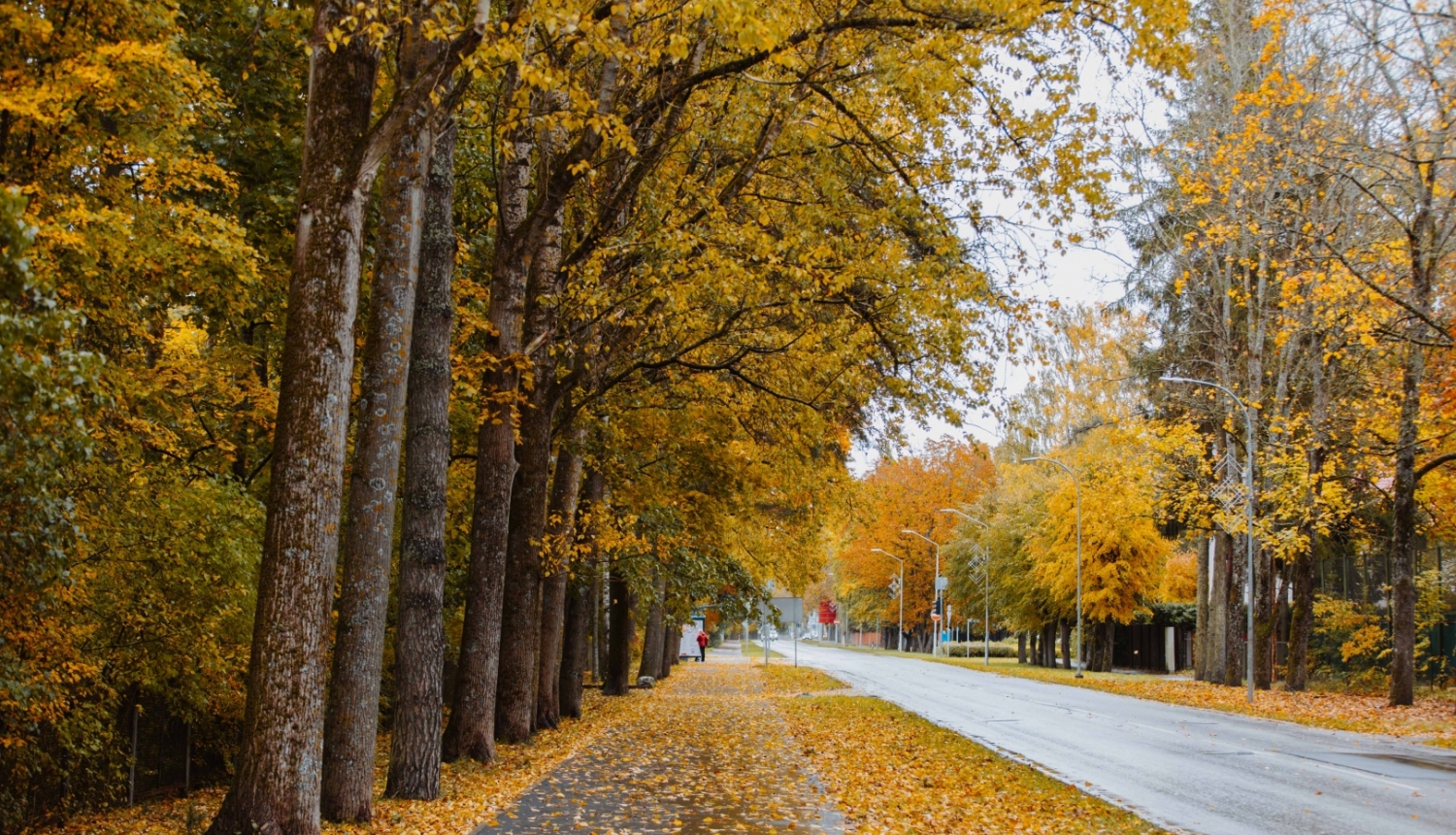 Rudens Jūrmalā